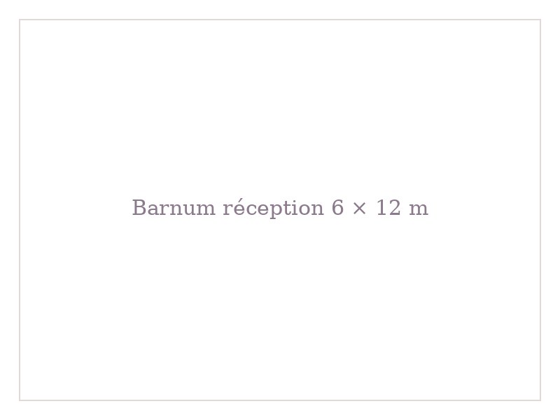 Barnum réception 6 × 12 m