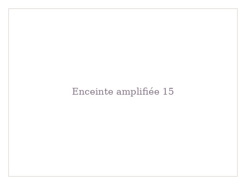 Enceinte amplifiée 15